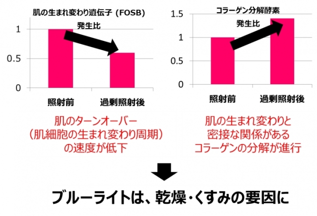 ブルーライト照射試験