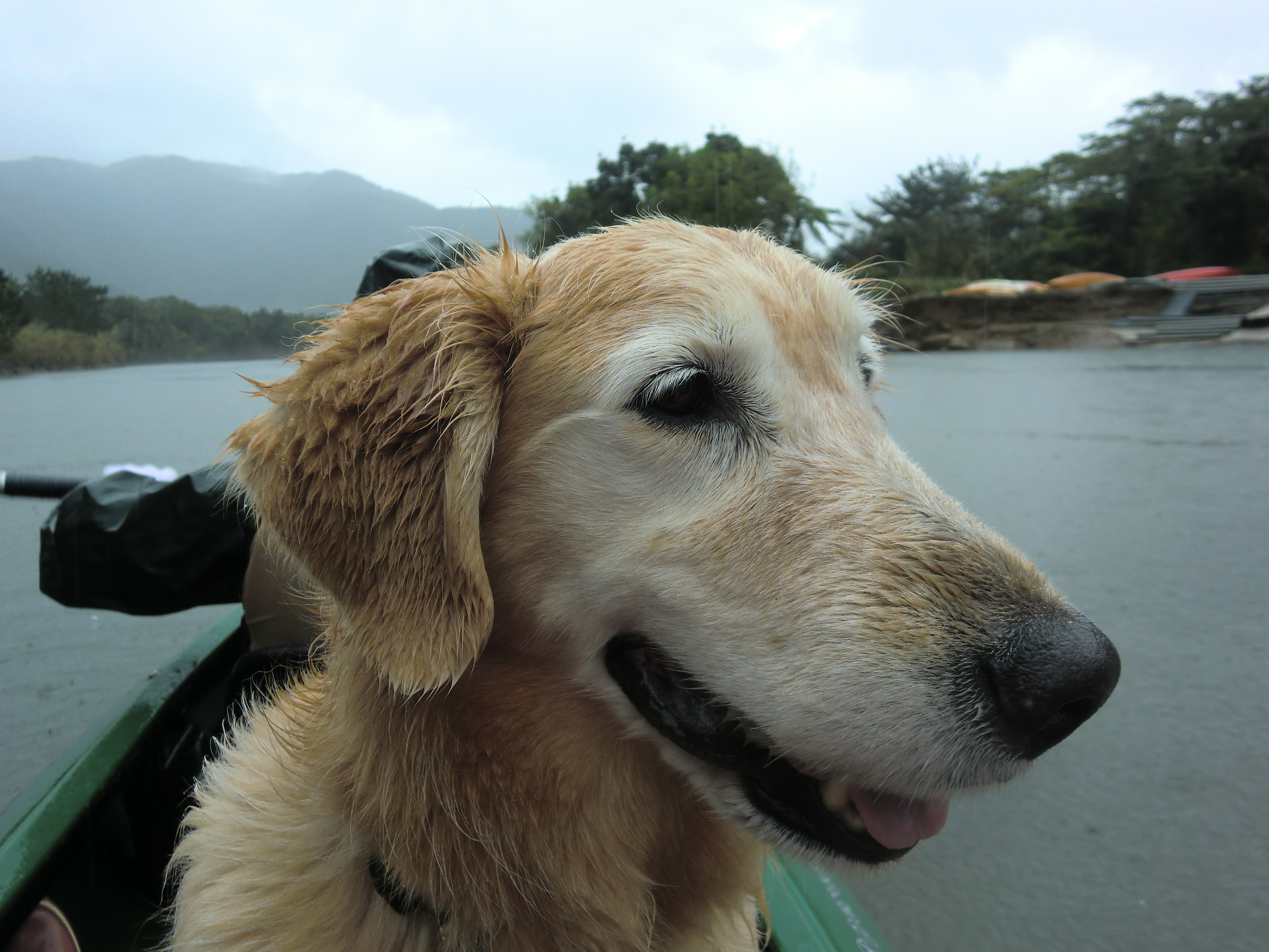 カヌーに乗るケフィ