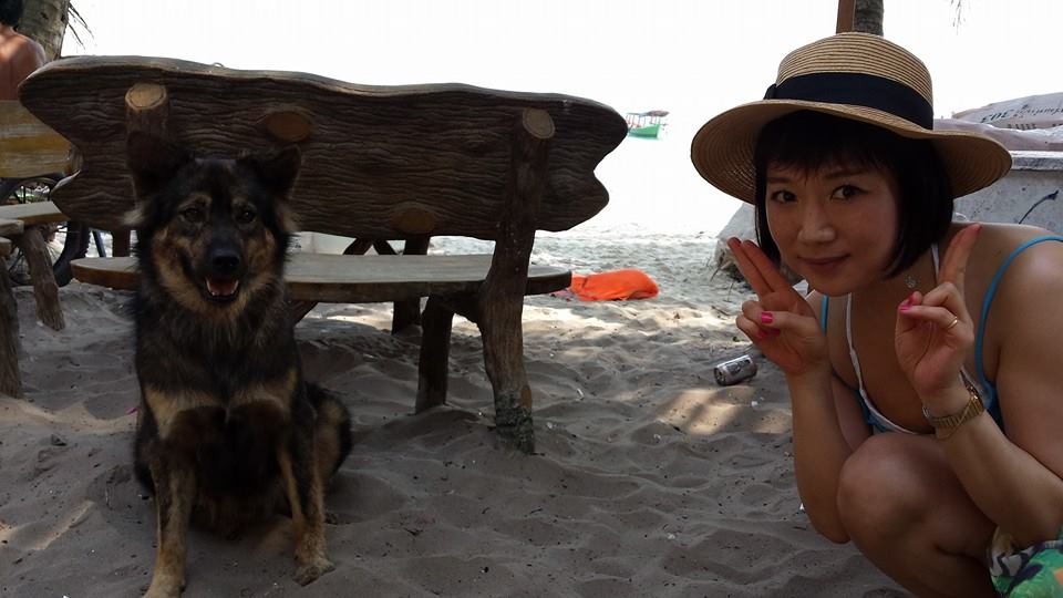 浜辺で見つけたイケメン犬（ヤケになって）