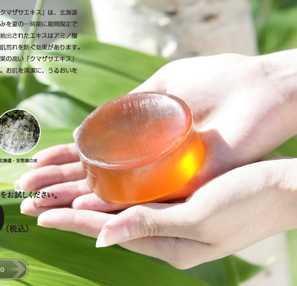 笹日和（東洋アドレ）