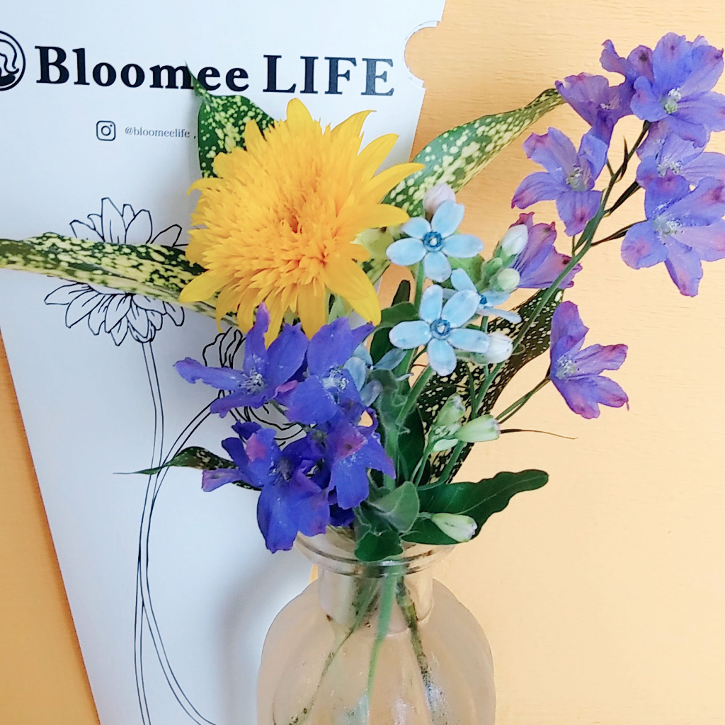 お花の定期便「Bloomee LIFE」