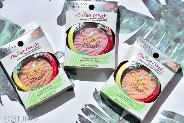 ふぉーちゅん・フィジシャンズ フォーミュラ