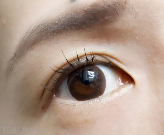 ふぉーちゅん・メイベリンニューヨーク