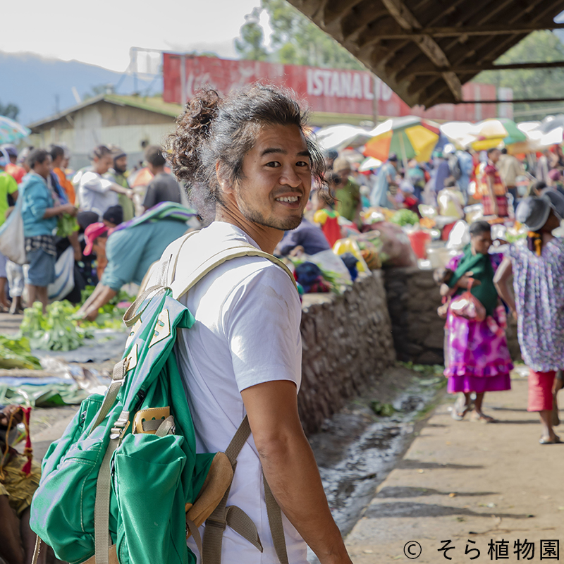 プラントハンター西畠 清順（にしはた せいじゅん）氏
