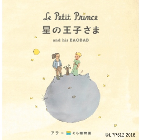 西畠清順氏本人のイラストが描き加えられていたパッケージ