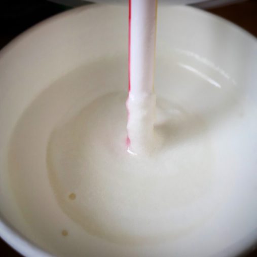 テイラー社/マックシェイク