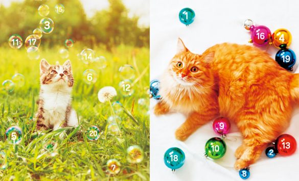 数字を順番に目で追うだけトレーニング