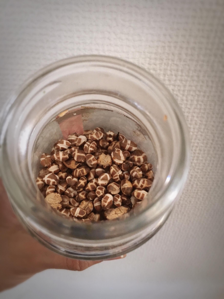 ふりかけの瓶に大麦パフを入れる