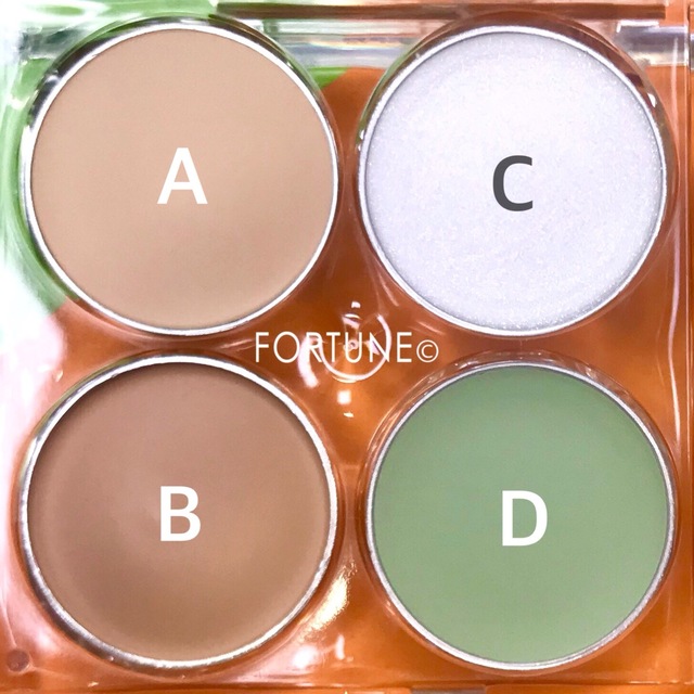 ふぉーちゅん・KATE STシリーズ