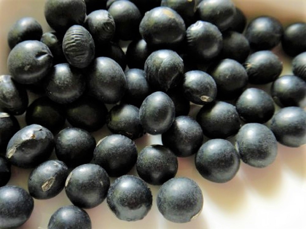 黒豆