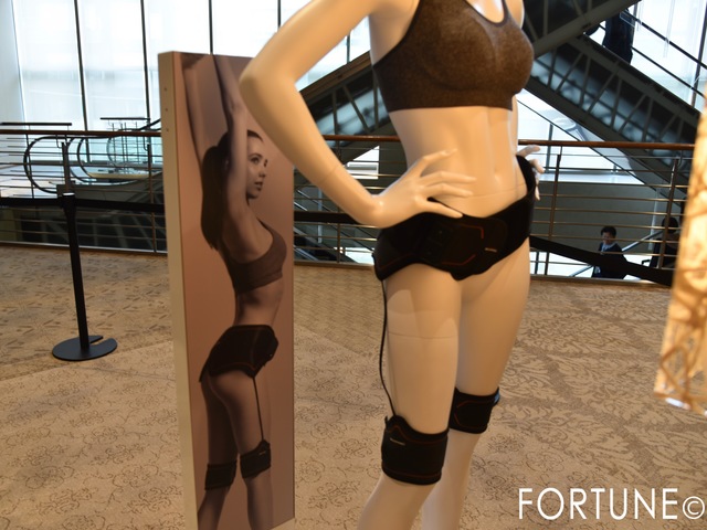 ふぉーちゅん・SIZPAD Bottom Belt