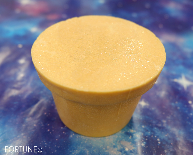 ふぉーちゅん・LUSHクリスマス