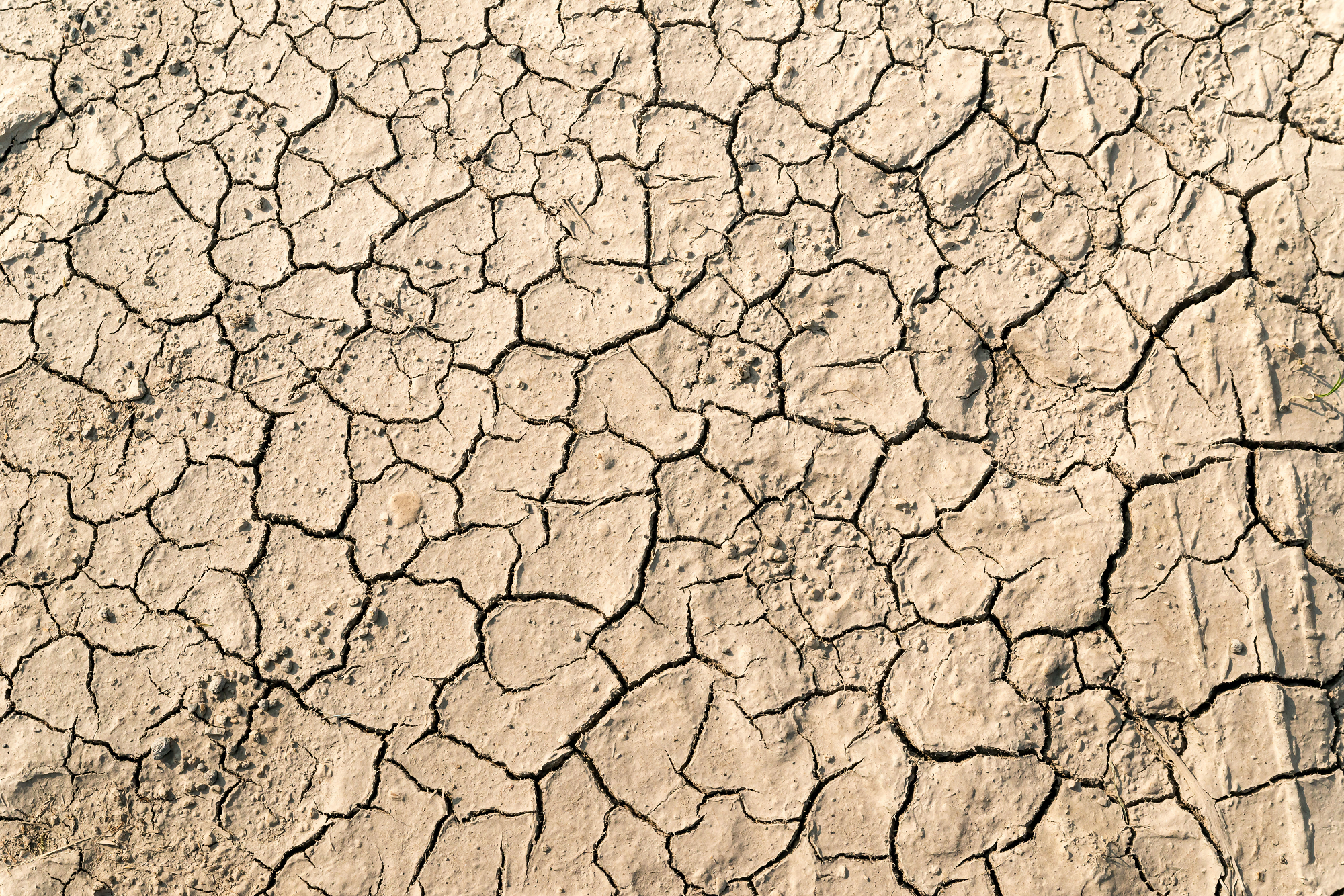 長時間のフェイスパックはお肌がカサカサに