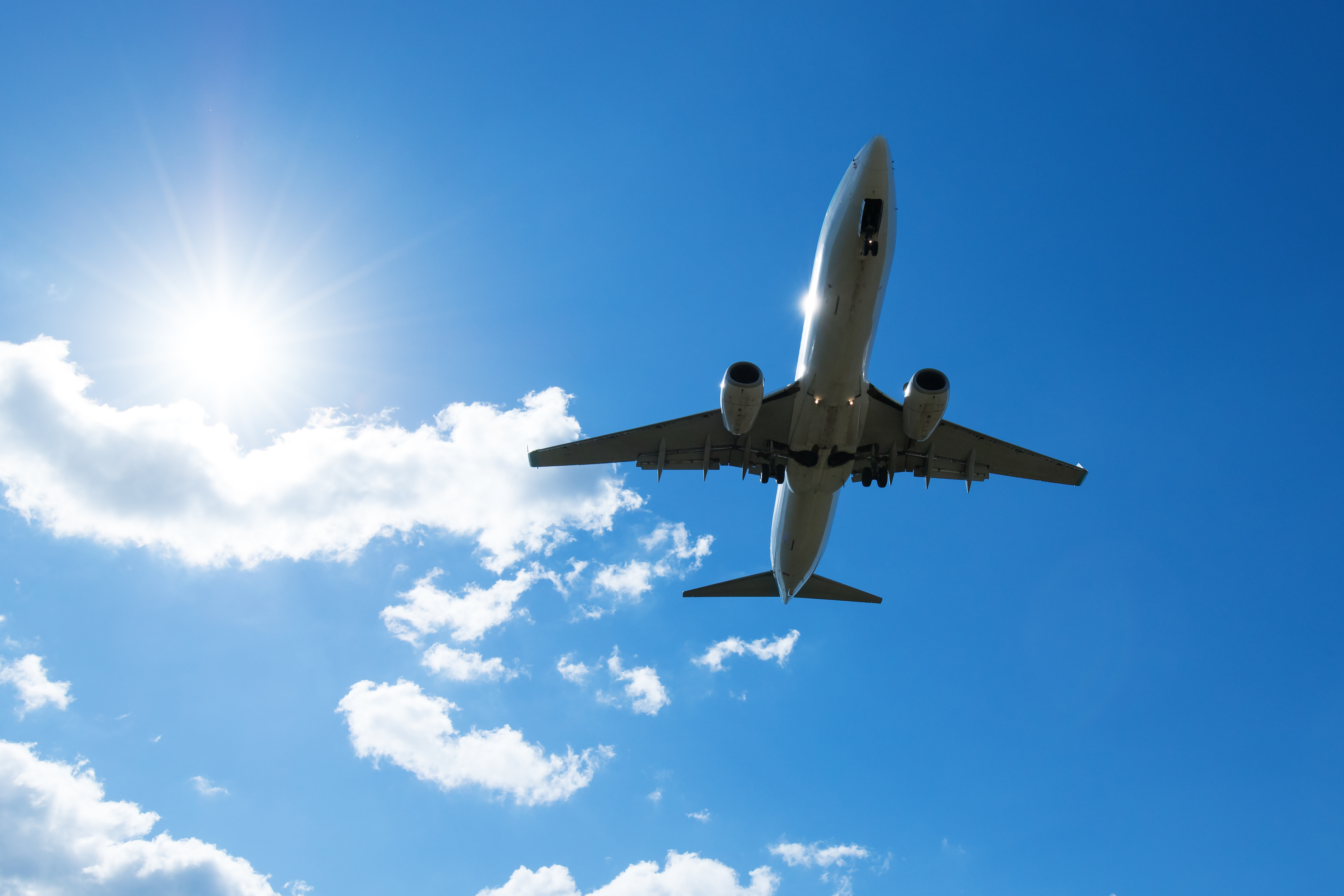 語学留学へ行く