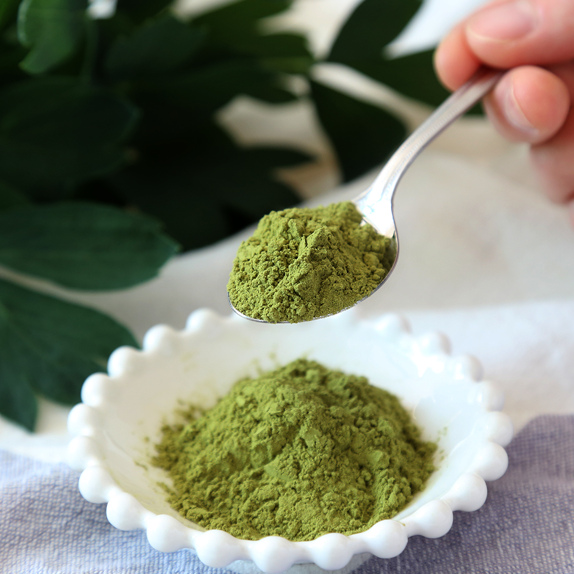 喜界島で生まれた「島の太陽と潮風で育った青汁」