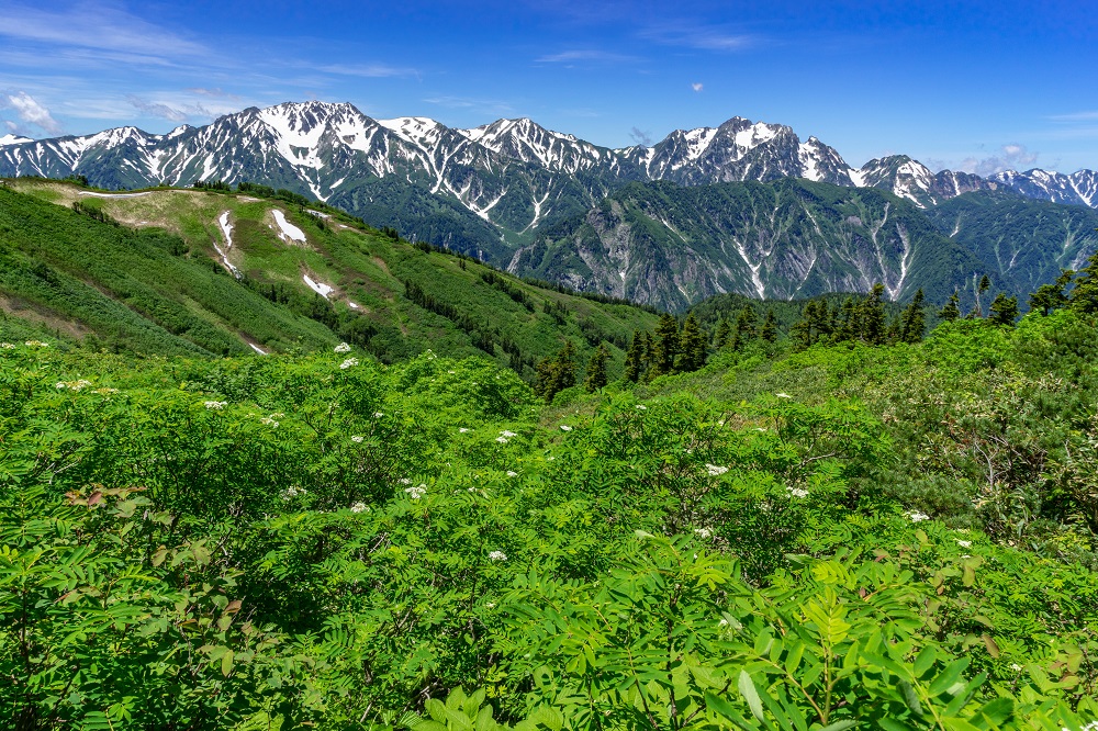 自然豊かな富山。写真は立山連峰