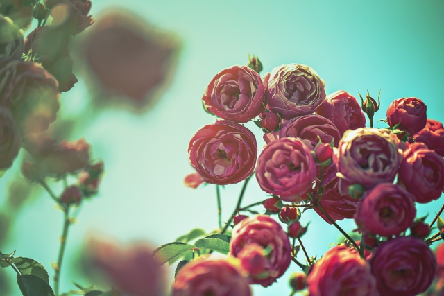 いじわるな先輩たち