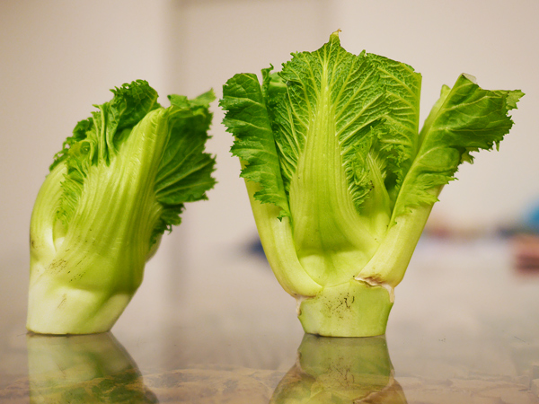 蕾菜(ツボミナ)