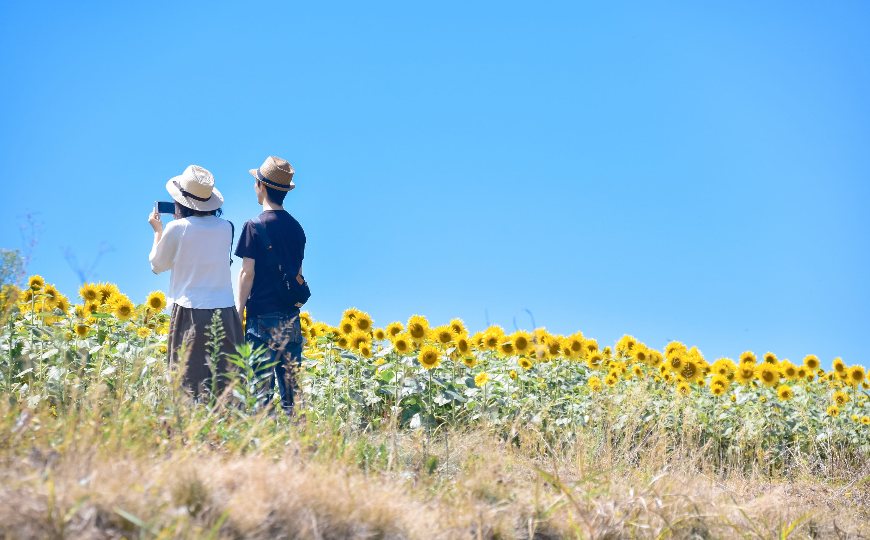理想の結婚をした女性