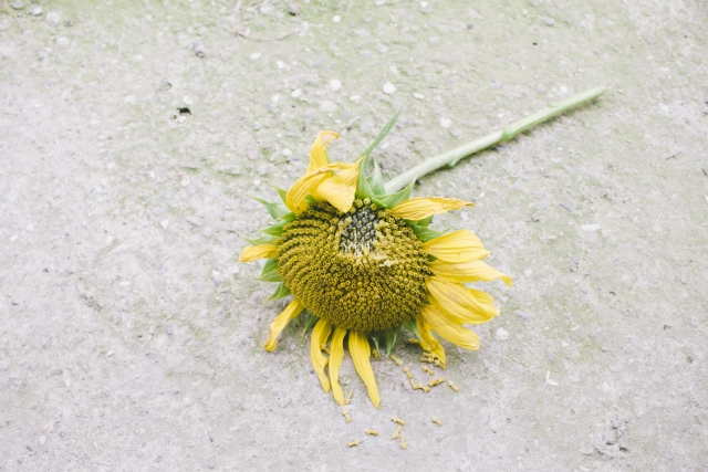 ミスして叱られる