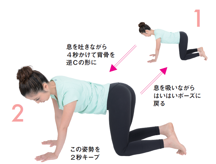 ゆる関節ストレッチ③背骨を左に逆Cカーブ