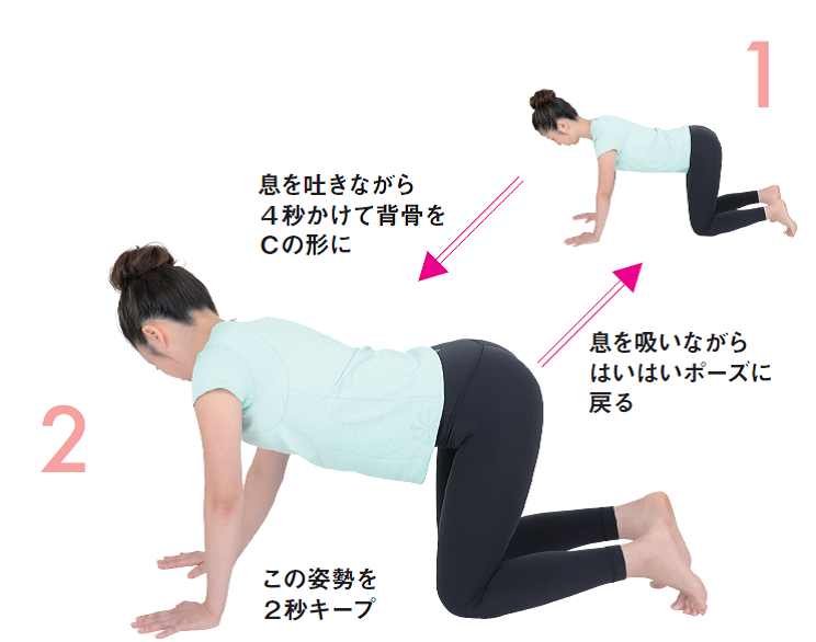 ゆる関節ストレッチ④背骨を右にCカーブ