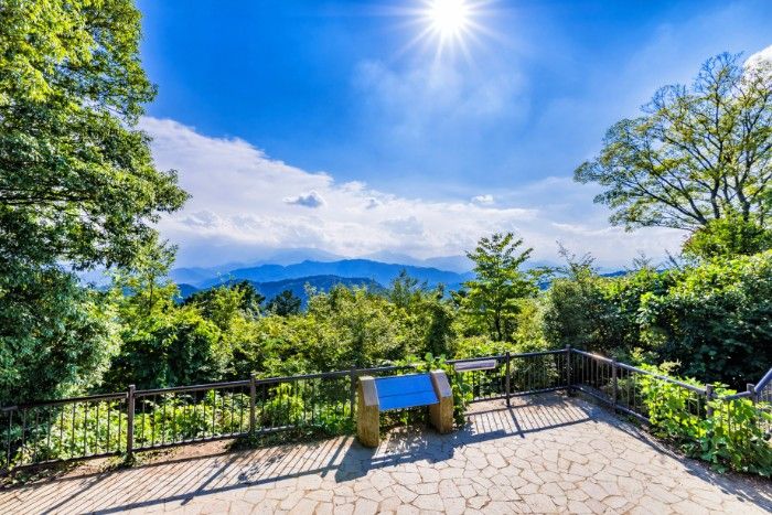 高尾山ハイキングピクニック登山