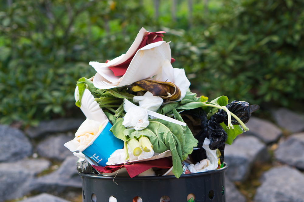 食品廃棄物（ゴミ）
