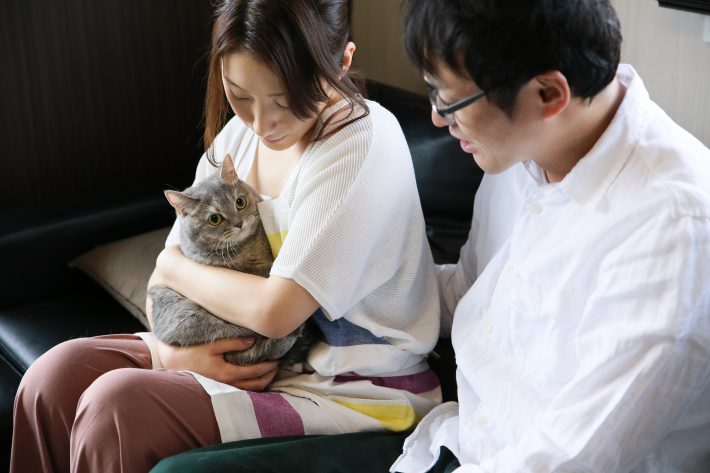 猫が恋のキューピットになった夫婦