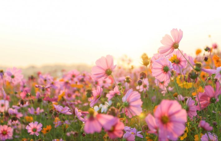 気持ちが満ち足りるセックスがいいセックス