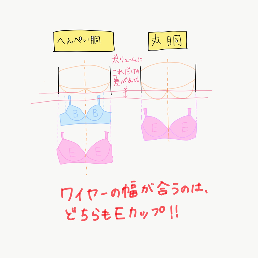 どちらもEカップだけれど