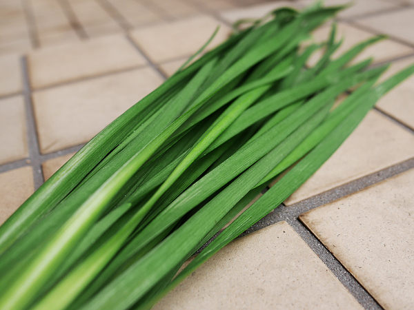 麻婆豆腐②刻んだ「ニラ」を加える