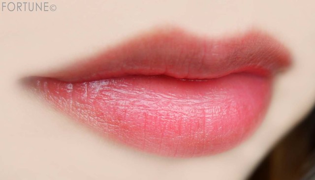 2019上半期ベストコスメ・リップ