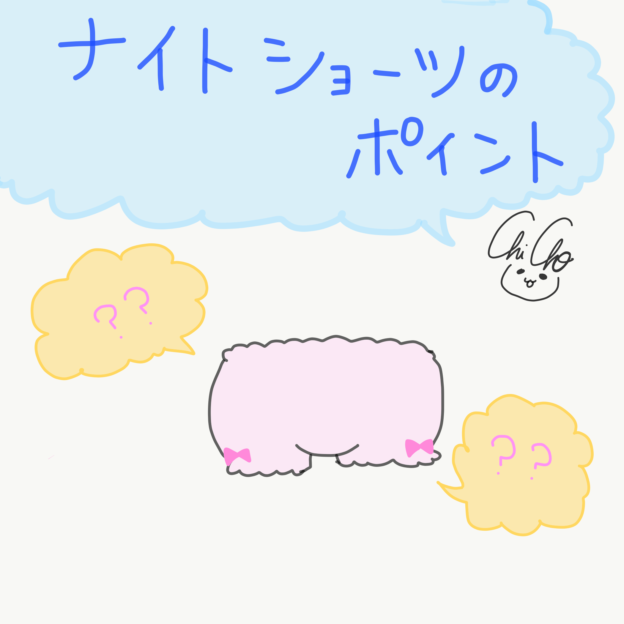 ナイトショーツのポイント