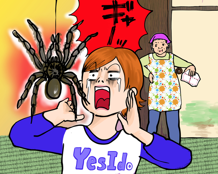 戦慄！巨大クモを握りつぶす民宿のオカン