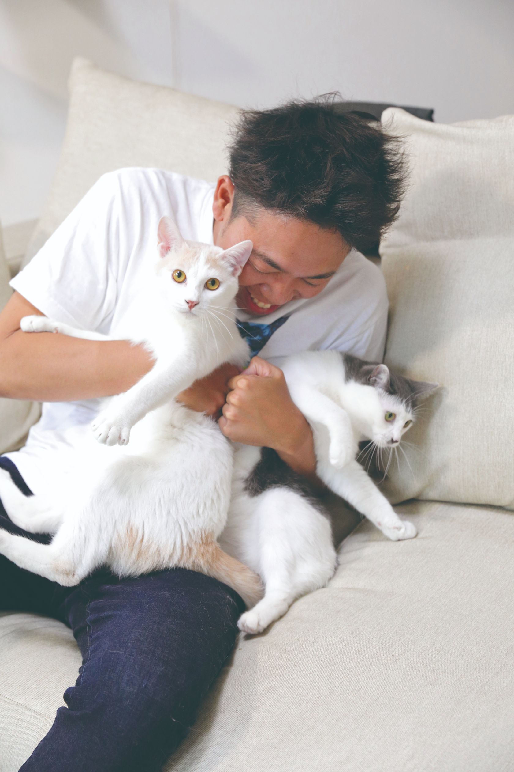 『空前絶後の保護猫ライフ! 池崎の家編』(宝島社)