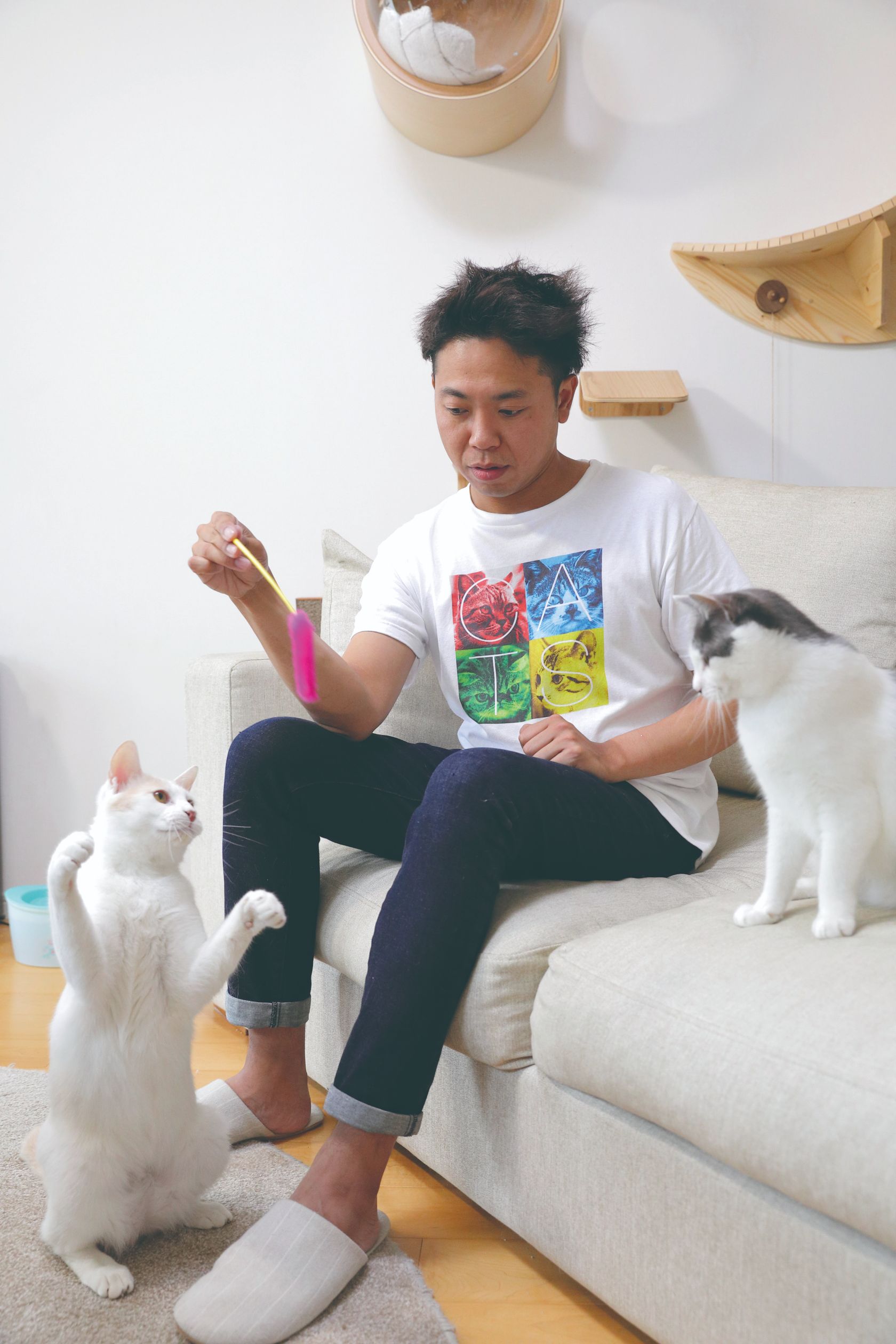 『空前絶後の保護猫ライフ! 池崎の家編』(宝島社)