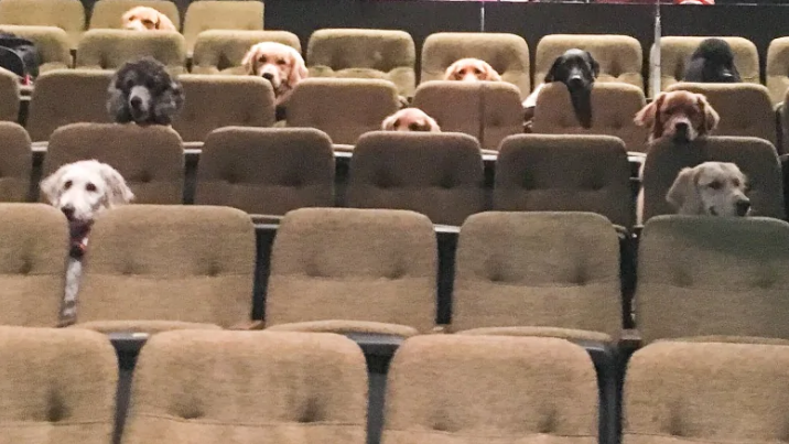 （画像：Stratford Festival twitterより）