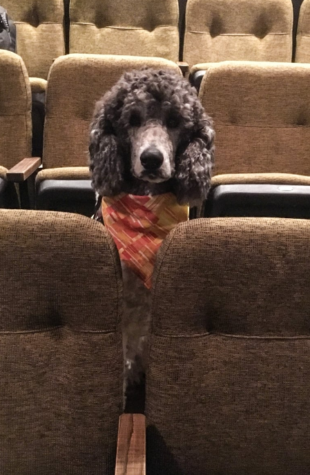 （画像：Stratford Festival twitterより）