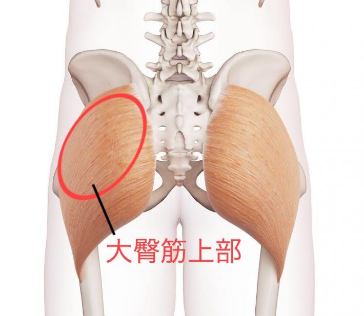 大殿筋上部の図
