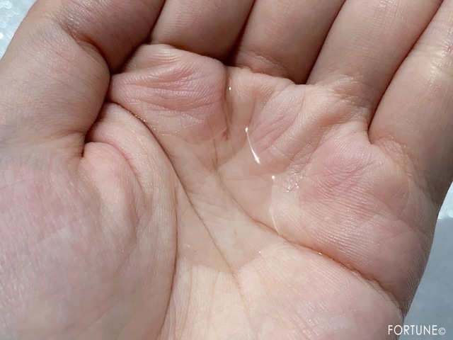 fortune20190829導入液