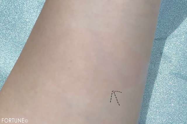 fortune20190829導入液