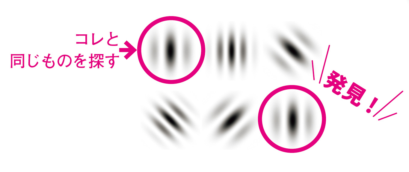 同じガボールパッチを探す