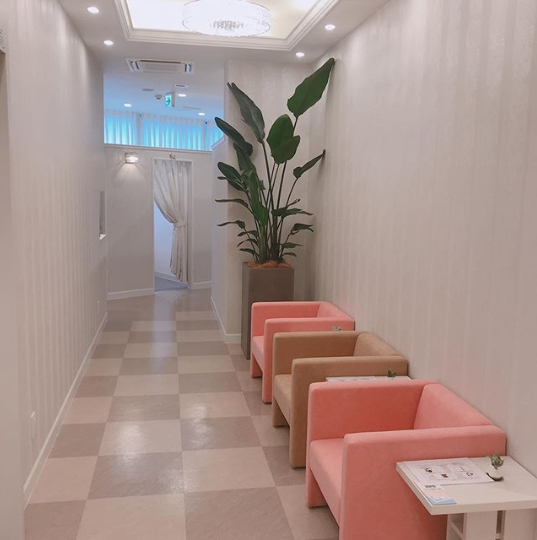 （画層：Reine公式Instagramより）