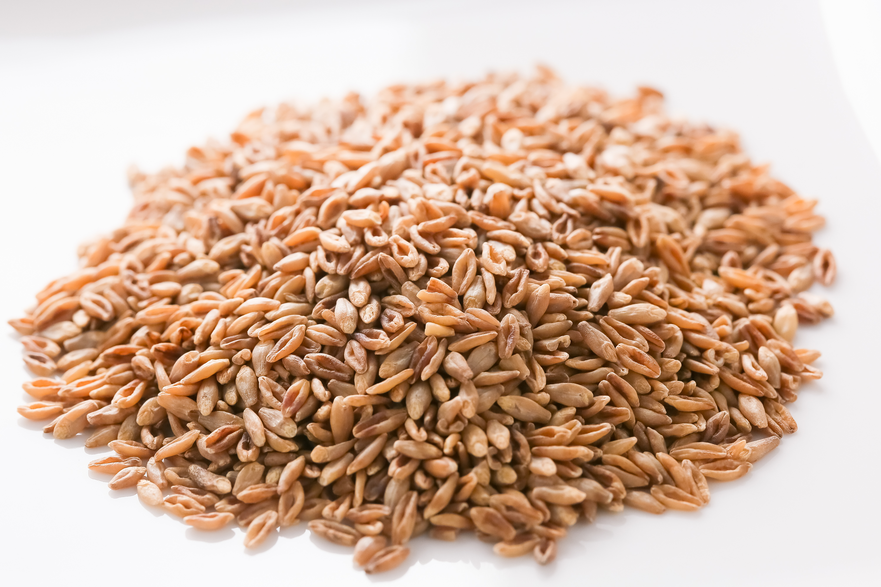 雑穀　大豆　もち麦　ご飯に混ぜるなら