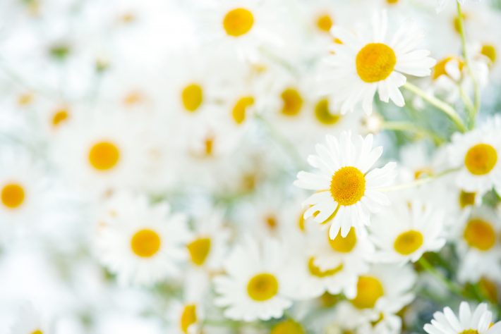 持ち物よりも持ち主が大事