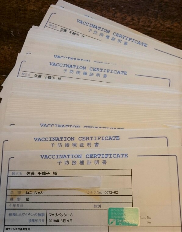 凄い数のワクチン証明書