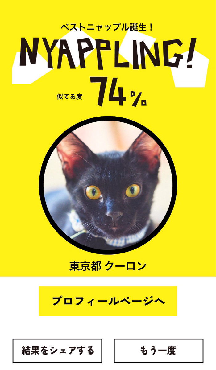 ネコノラボ「NYAPPLING」保護猫　里親