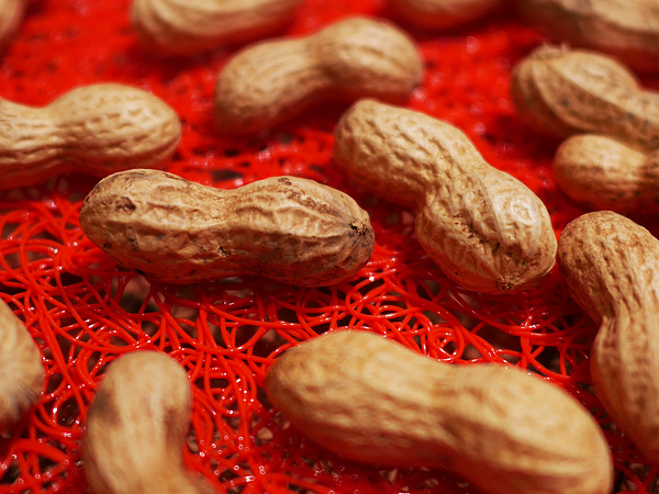 ピーナッツはナッツではなく、豆。ナッツ以上の嬉しい美容効果とは…