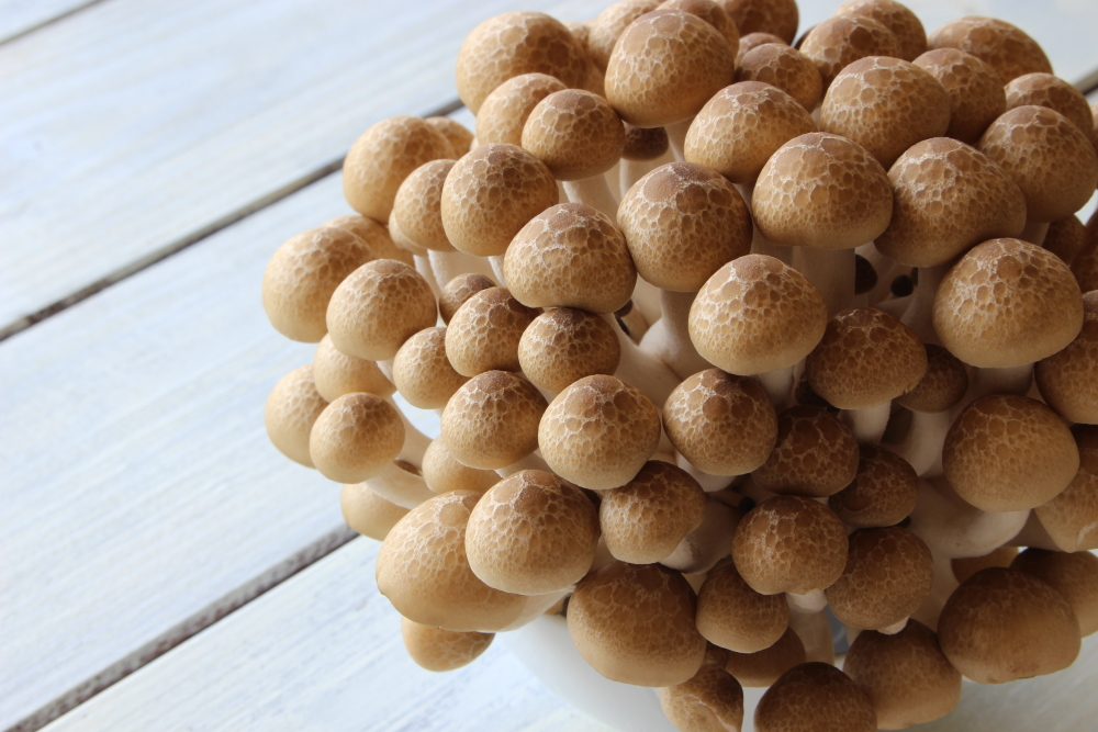 年末年始の食べ過ぎをなかったことに。 リセット食べ物５つ　しめじ